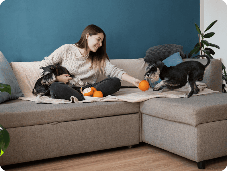 Woman playing with two dogs on a sofa with toys in a modern living room.